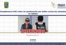 Detienen en Atlixco a hombre por presunta crueldad animal