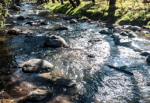 UPMP busca instalar Centro de Monitoreo del Río Atoyac