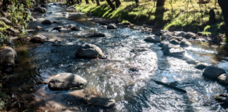 UPMP busca instalar Centro de Monitoreo del Río Atoyac