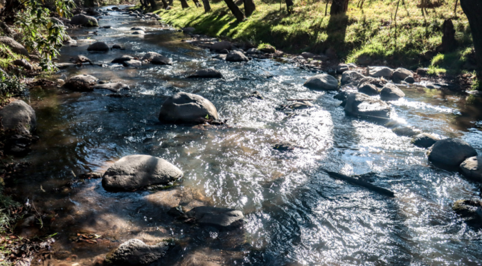 UPMP busca instalar Centro de Monitoreo del Río Atoyac