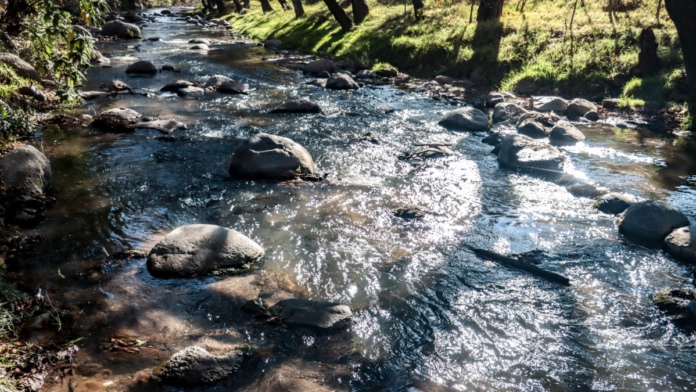 Río-Atoyac
