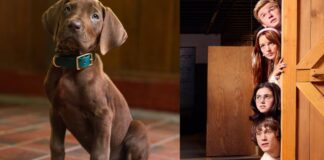 Netflix muestra el primer avance del live action de Scooby-Doo