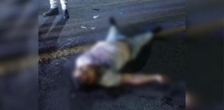 Camioneta huye tras atropellar a padre e hijo en la México–Tuxpan