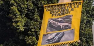 Vecinos de Tlaxcalancingo alertan por presunto agresor de perros