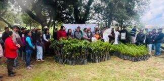 Zacatlán realiza jornada de reforestación con mil árboles plantados