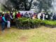 Zacatlán realiza jornada de reforestación con mil árboles plantados