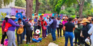 Pepe Chedraui fortalece conservación del arbolado urbano en Puebla
