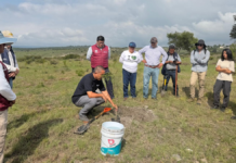 Plantan más de 9 mil árboles durante junio en Puebla capital