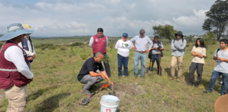 Plantan más de 9 mil árboles durante junio en Puebla capital