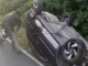 Vuelca automóvil en la Amozoc–Nautla; ocupantes salen ilesos