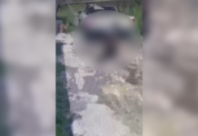 Captan a hombre arrastrando un caballo herido en Texmelucan