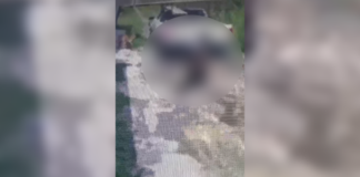 Captan a hombre arrastrando un caballo herido en Texmelucan