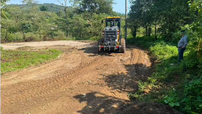 camino