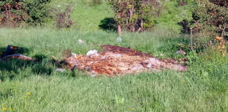 Denuncian foco de infección en San José Lechería por tiradero de desechos