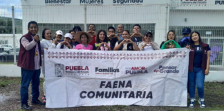 SEDIF realiza faenas para conservar espacios de bienestar