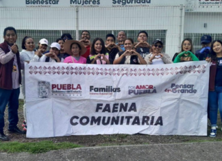SEDIF realiza faenas para conservar espacios de bienestar