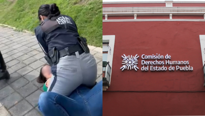 investigación