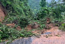 Lluvias provocan derrumbes y bloquean caminos en la Sierra Negra