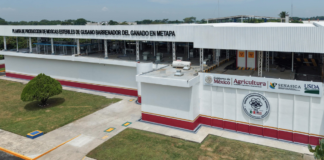 Inauguran planta binacional contra el gusano barrenador en Chiapas