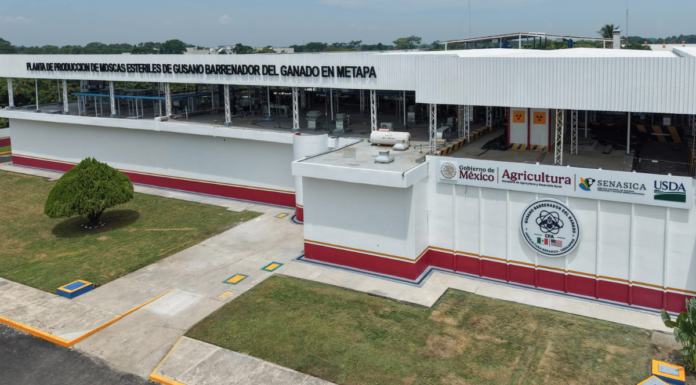 Inauguran planta binacional contra el gusano barrenador en Chiapas