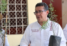 Pável Gaspar impulsa reforestación en escuelas de Puebla