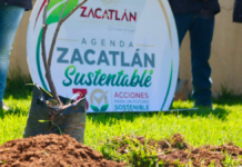 Zacatlán realiza reforestación en Unidad Deportiva de Tlatempa