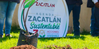 Zacatlán realiza reforestación en Unidad Deportiva de Tlatempa