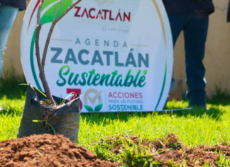 Zacatlán realiza reforestación en Unidad Deportiva de Tlatempa