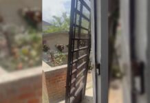 Acajete: denuncian presunta profanación y robo en tumbas del panteón