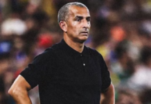 Túnez despide a su técnico tras goleada ante Suecia