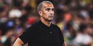 Túnez despide a su técnico tras goleada ante Suecia