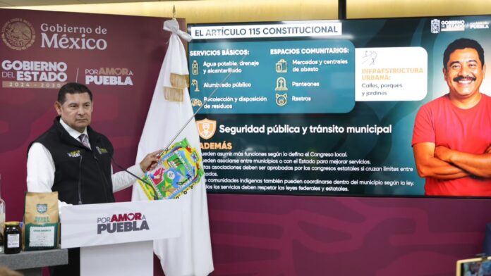 115 constitucional
