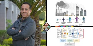 Académico UDLAP revela cómo la contaminación afecta al cerebro