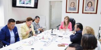 Ceci Arellano encabeza Sesión del Consejo de Adopciones del SEDIF