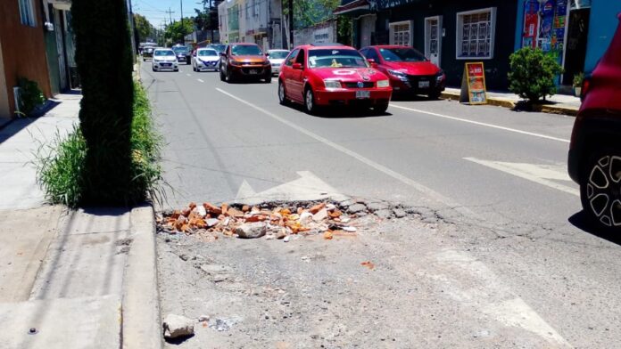 Bache