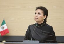 Diputada propone incorporar políticas de cambio climático a nivel municipal