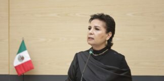 Diputada propone incorporar políticas de cambio climático a nivel municipal