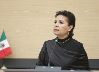 Diputada propone incorporar políticas de cambio climático a nivel municipal