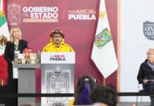Puebla reduce 55% la superficie afectada por incendios forestales