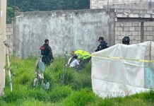 Investigan homicidio durante presunto robo en la Puebla–Tlaxcala