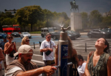 Aumentan a más de mil 200 las muertes en Bélgica por olas de calor