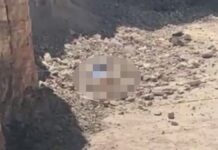 Adulto mayor muere al caer de cantera de 35 metros en Tehuacán