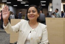 Proponen reforma para garantizar procedencia legal de productos forestales