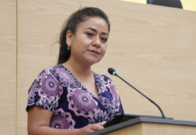 Celia Bonaga encabezará la bancada del PAN en el Congreso