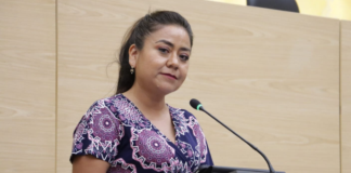 Celia Bonaga encabezará la bancada del PAN en el Congreso