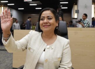 Proponen reforma para garantizar procedencia legal de productos forestales