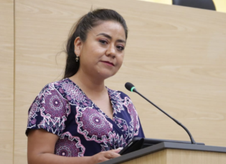 Celia Bonaga encabezará la bancada del PAN en el Congreso
