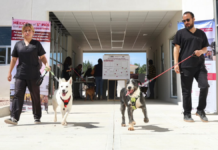 Célula de Bienestar Animal atenderá a mil 500 seres sintientes
