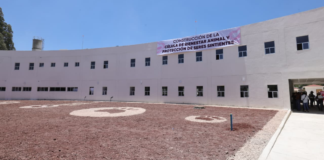 Célula de Bienestar Animal en Puebla registra 75% de avance