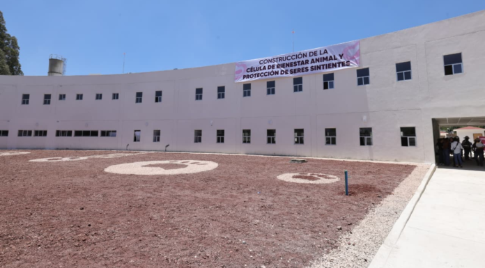 Célula de Bienestar Animal en Puebla registra 75% de avance